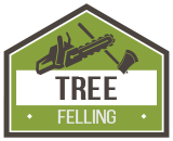 Tree Felling