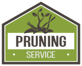 Pruning Service